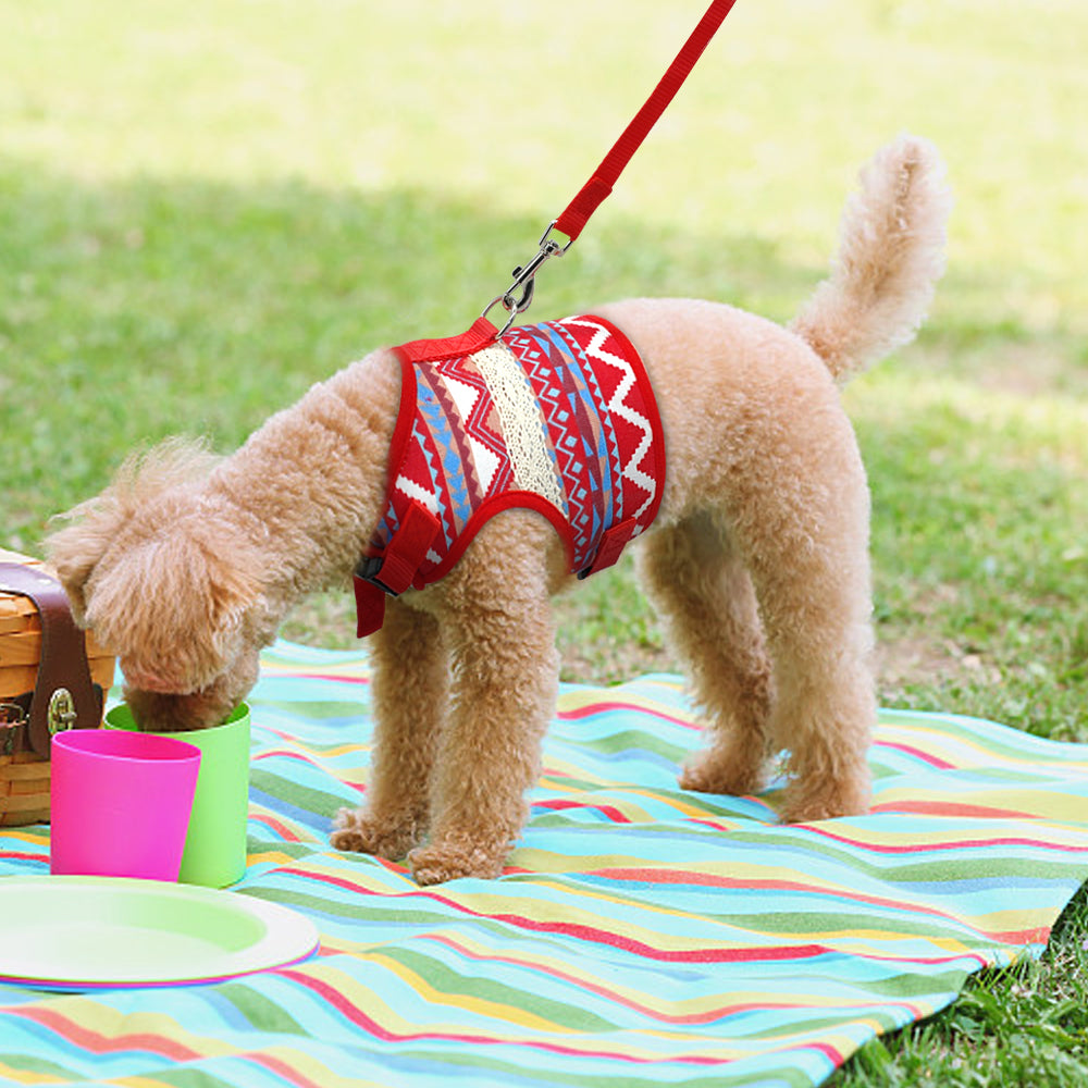 Ethnic Style Dog Leash and Clothing Set