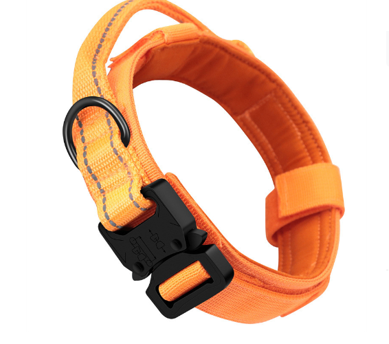 Nylon Pet Collar for Medium and Large Dogs