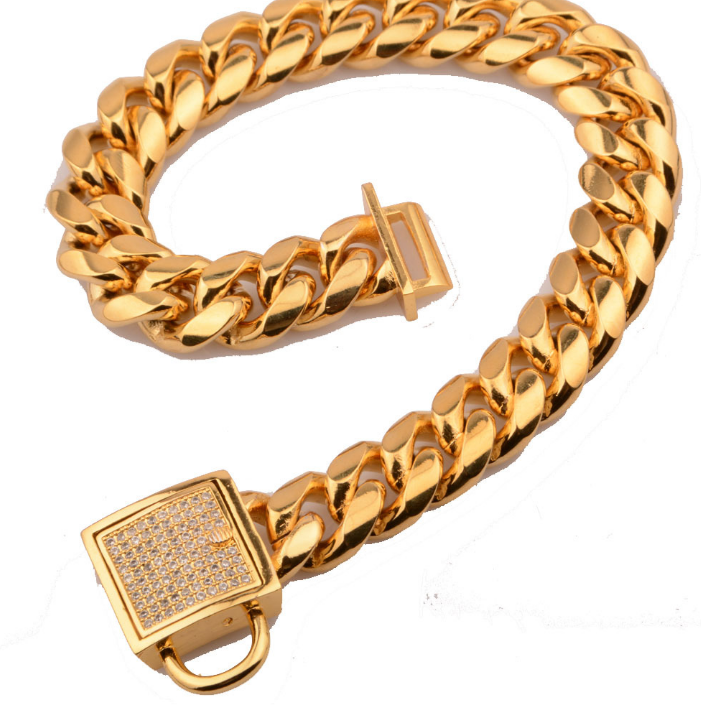 Gold Stainless Steel Titanium Chain Necklace
