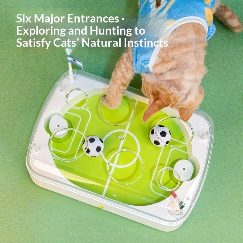 Cat Soccer Field Interactive Motion Cat Toy