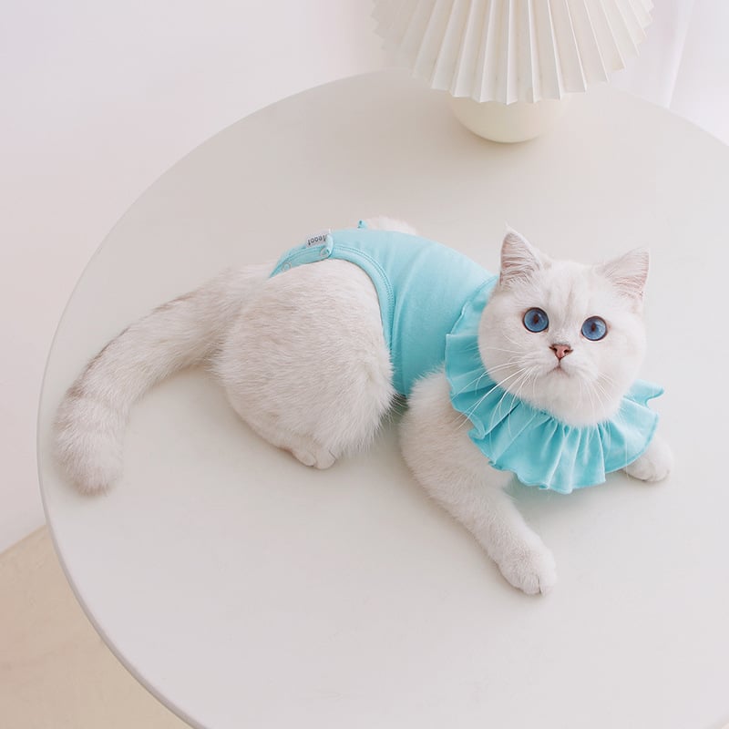 Breathable Summer Sterilization Suit for Cats