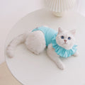 Breathable Summer Sterilization Suit for Cats