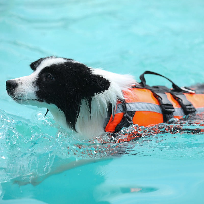 Dog Life Jacket Cooling Swim Vest