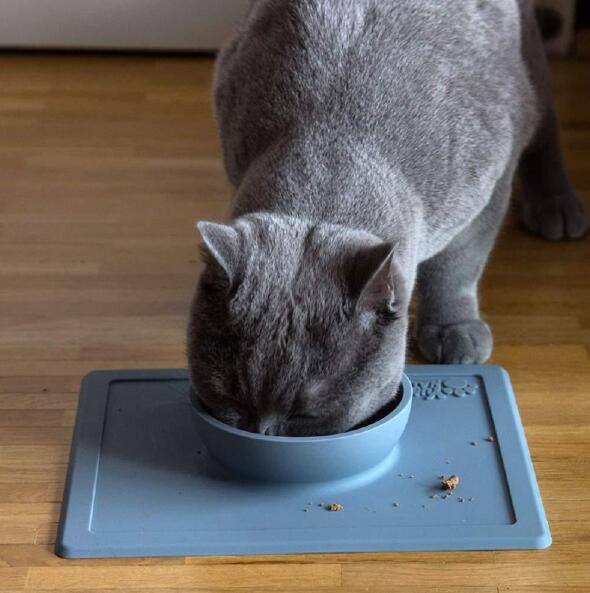 Silicone Pet Bowl with Strong Suction and Anti-Splash