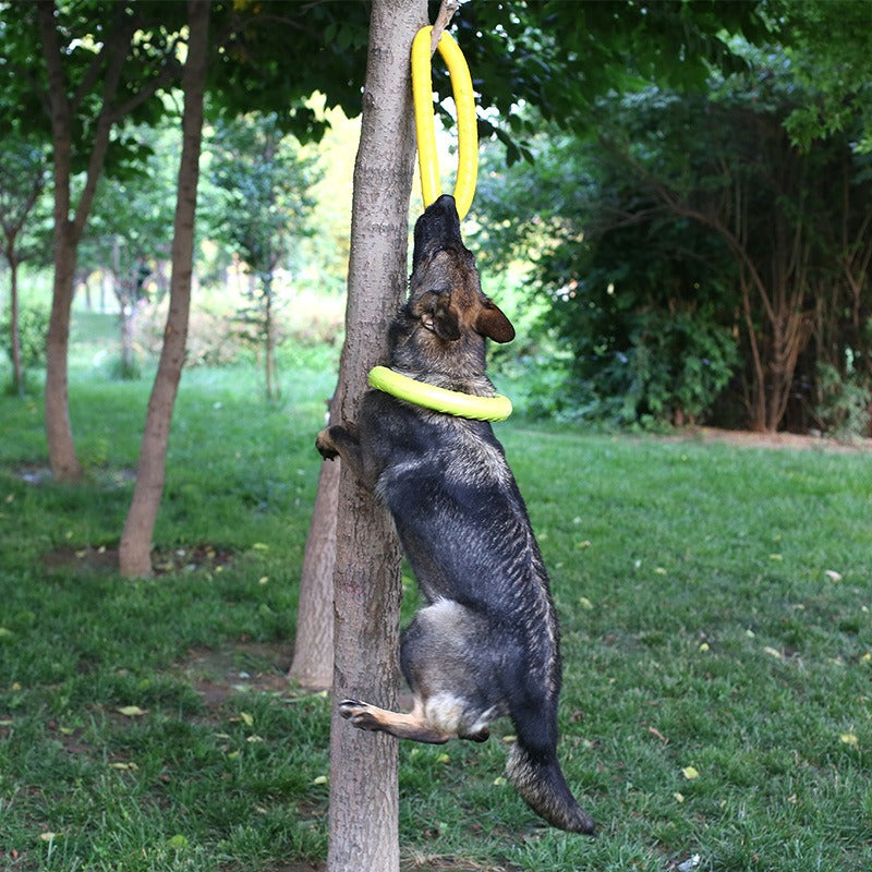 Dog Training Pull Ring Toy