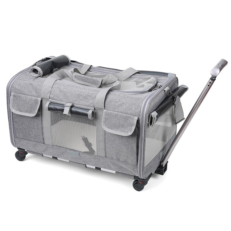 Foldable Cat Pet Bag