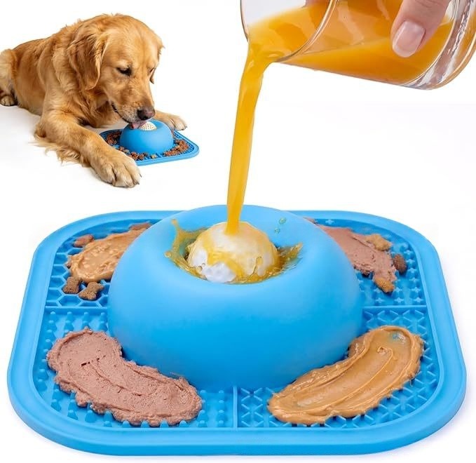 Practical Slow Feed Dog Bowl