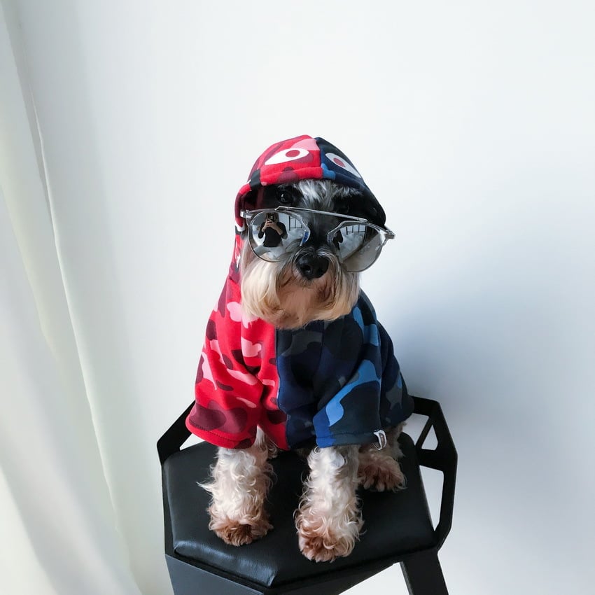 Pupreme Pawmain Retro Dog Sweater for French Bulldogs