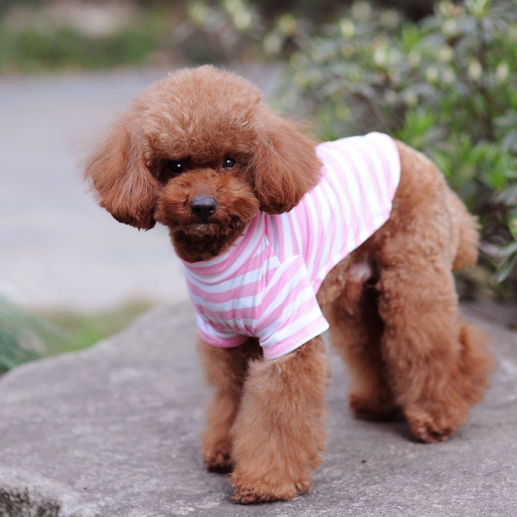 Striped Pet Tank Top for Small Dogs and Cats