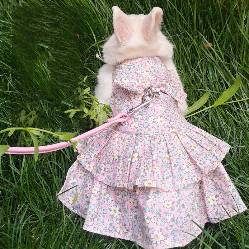 Leash for Bunny, Kitten, Cat, and Lop-Eared Rabbit