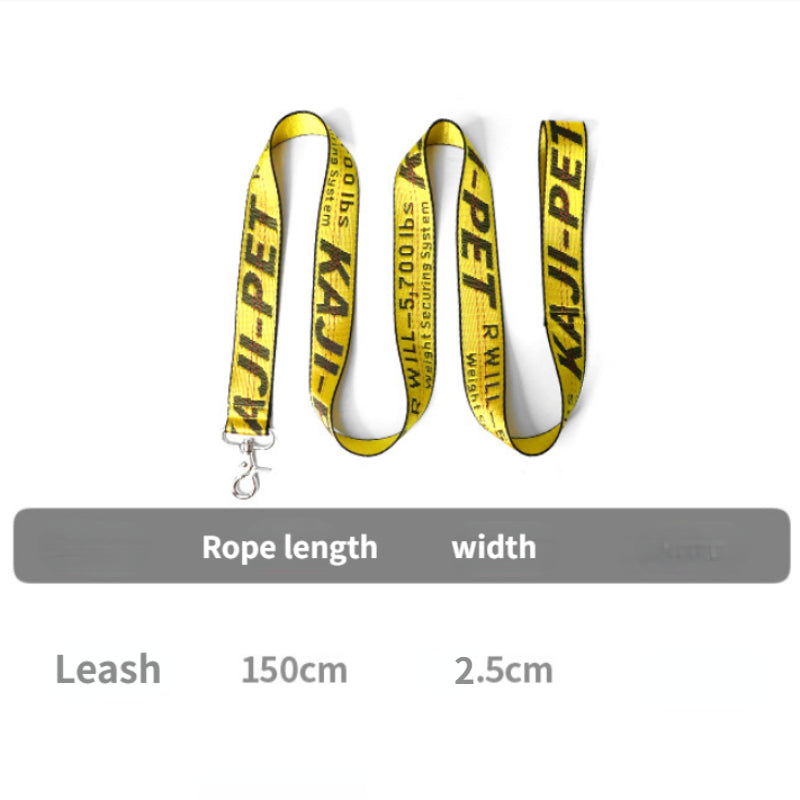 Gold Chain Nylon Dog Collar and Leash Set for Pets