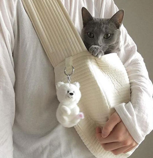 Pet Backpack Cat Shoulder Messenger Bag