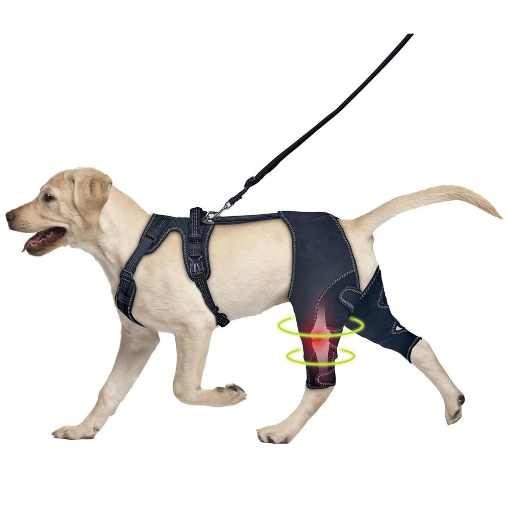 Pet Knee Brace with Joint Support Strap