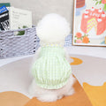 Spring Summer Puppy Dress in Pet Fashion Collection