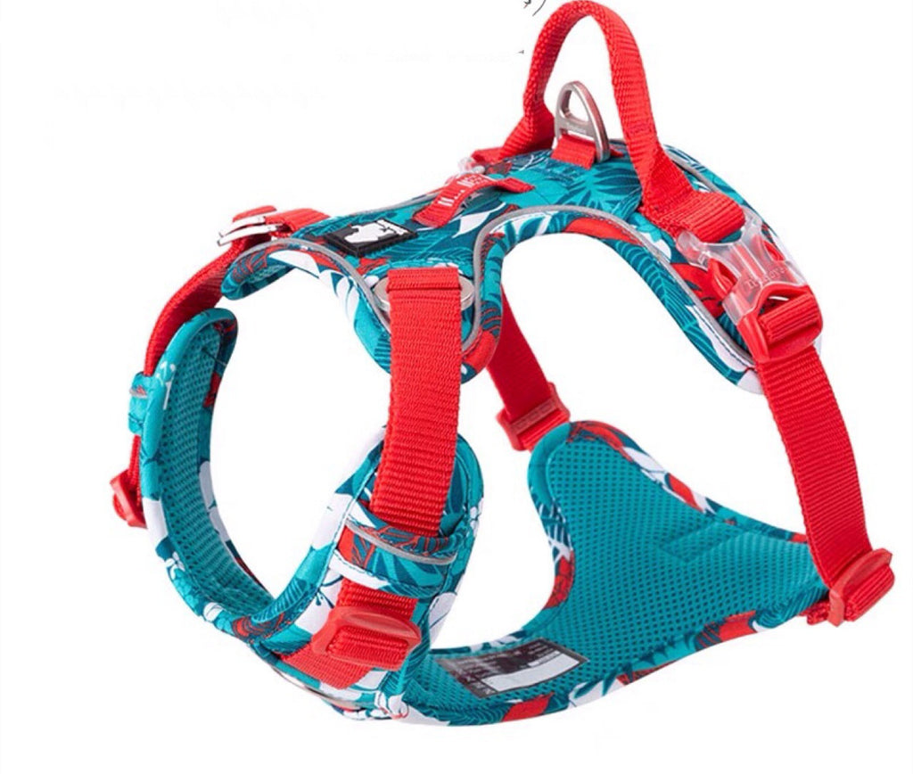 Comfortable Chest Strap for Labrador Dogs