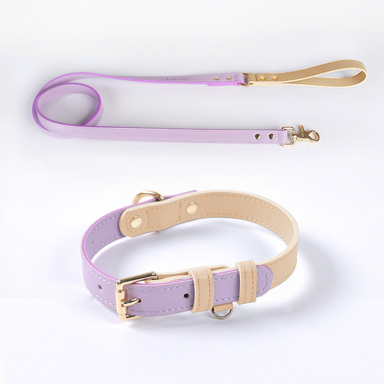 Leather Dog Leash & Collar