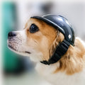 Pet Motorcycle Helmet for Dogs and Cats Accessories