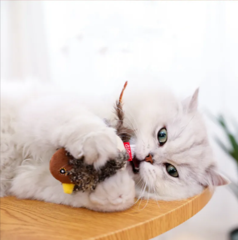 Electric Bird & Mouse Cat Toy