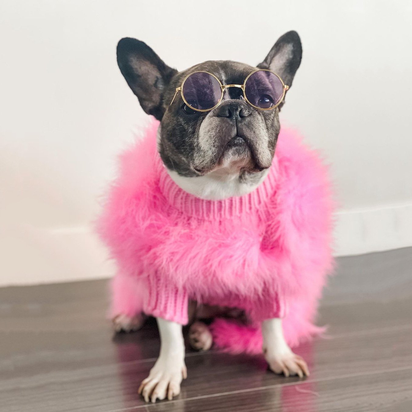 Warm Solid Color Plush Jumper for Dogs