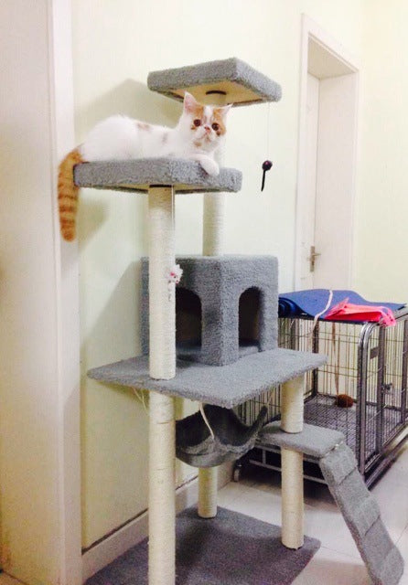 Cat Tree with Scratching Board and Climbing Frame