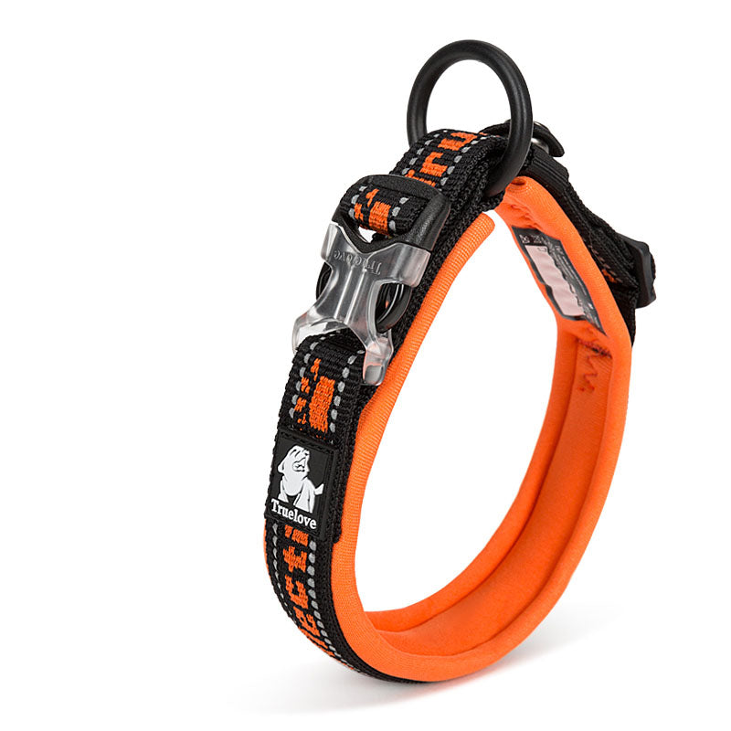 Large Dog Training Collar and Harness
