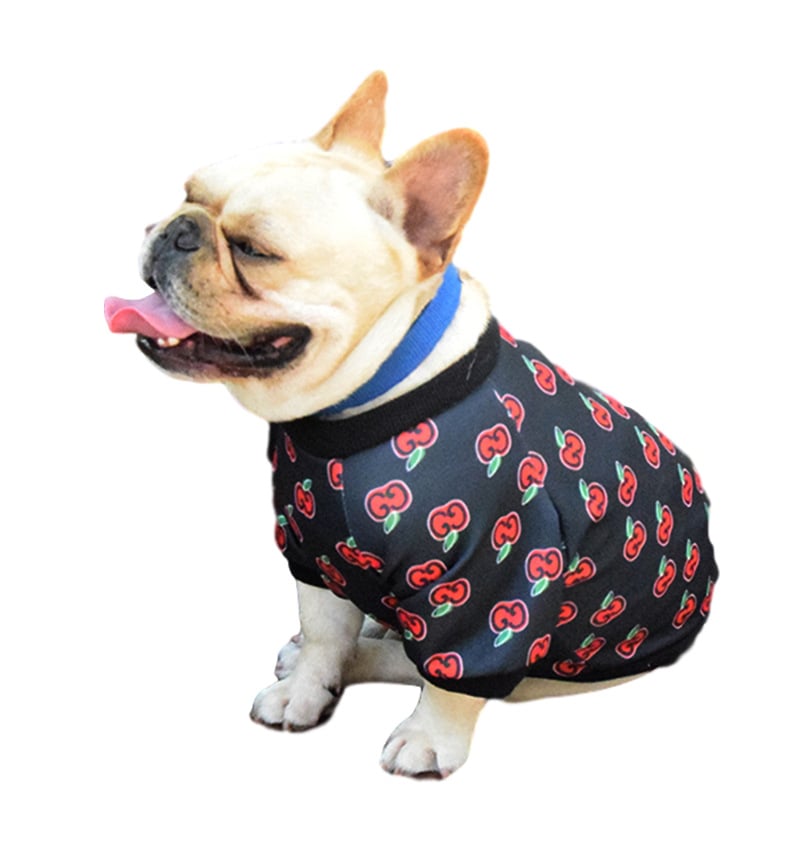 Custom Teddy Dog Clothing for Spring and Autumn