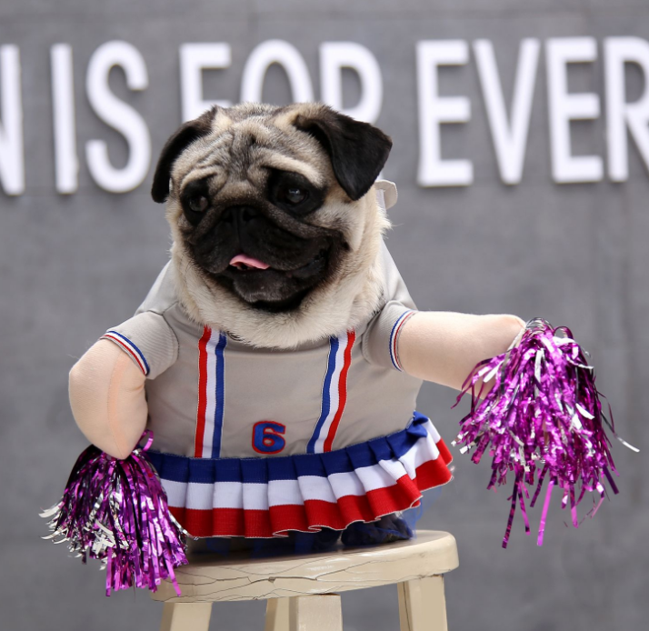 Color Changing Pet Clothes for Cats and Dogs