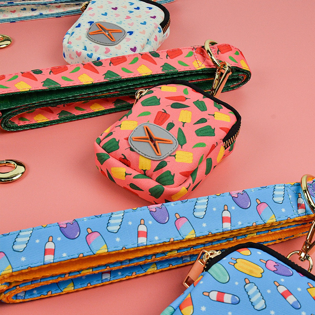 Dog Leash & Poop Bag Holder Set