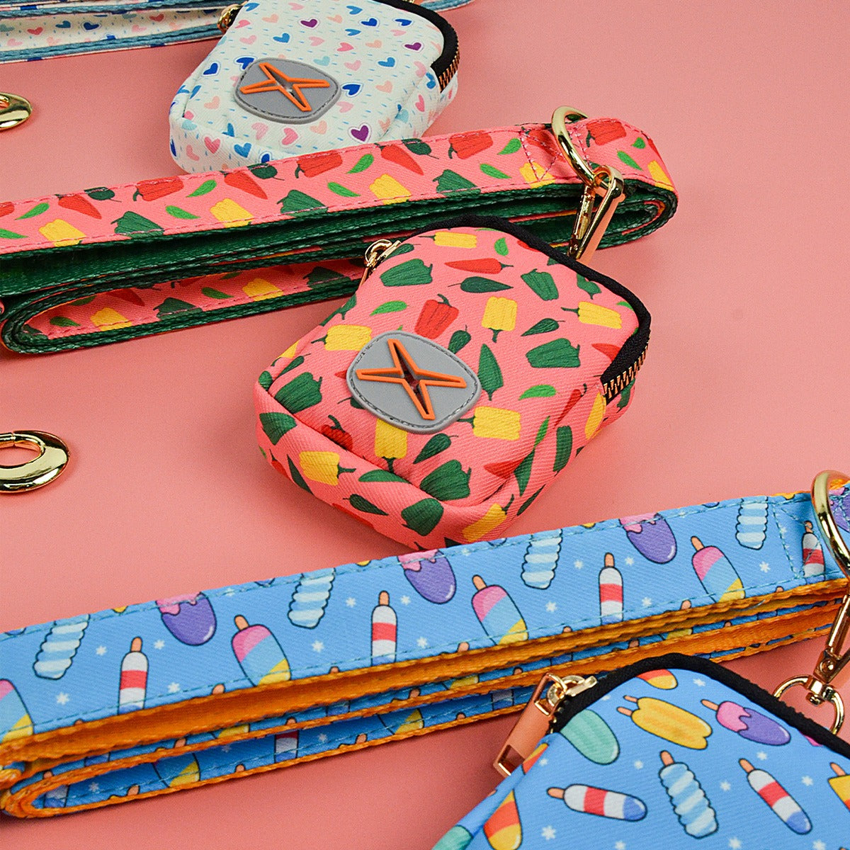 Dog Leash & Poop Bag Holder Set