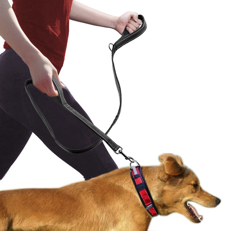 Double Handle Pet Pull Leash
