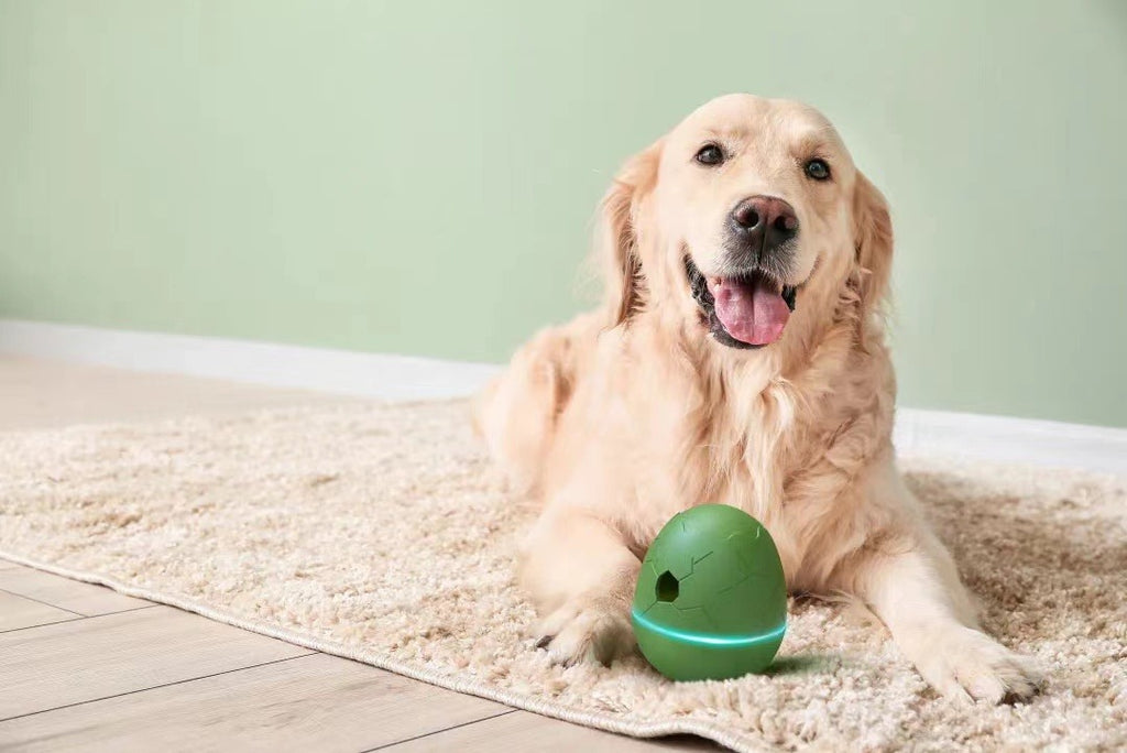 Egg-Shaped Dancing Pet Toy