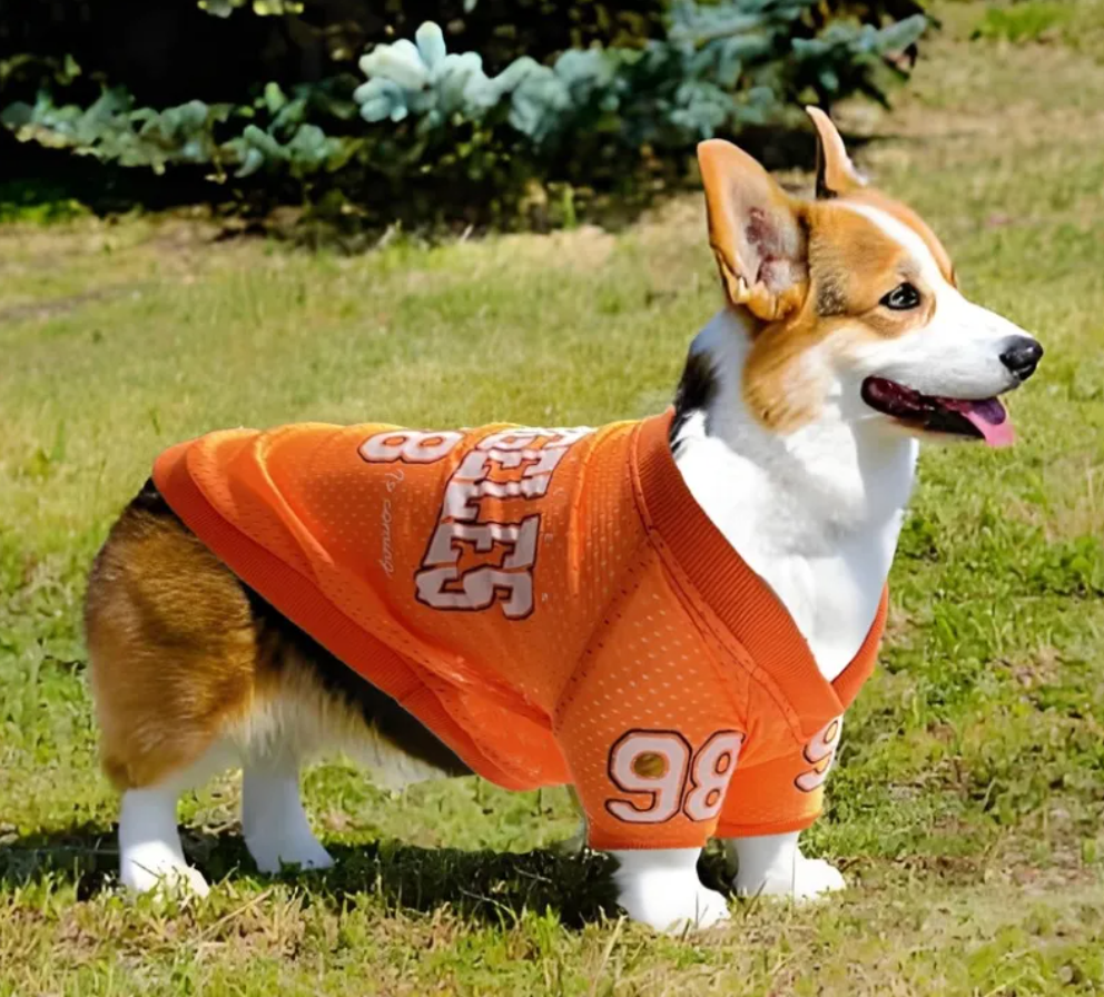 Dog Sun Protection Outdoor Sports Shirt