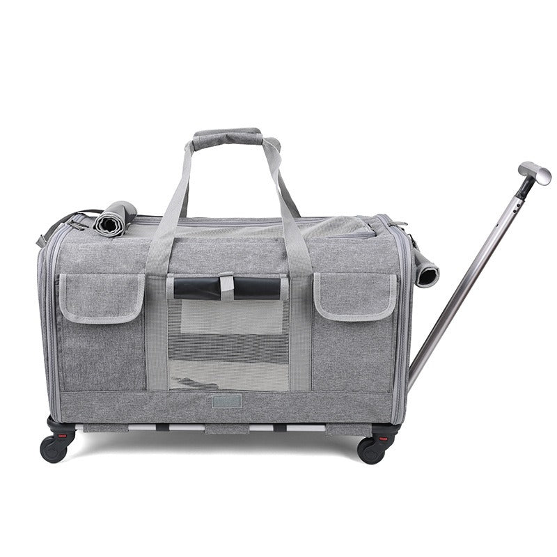 Foldable Cat Pet Bag