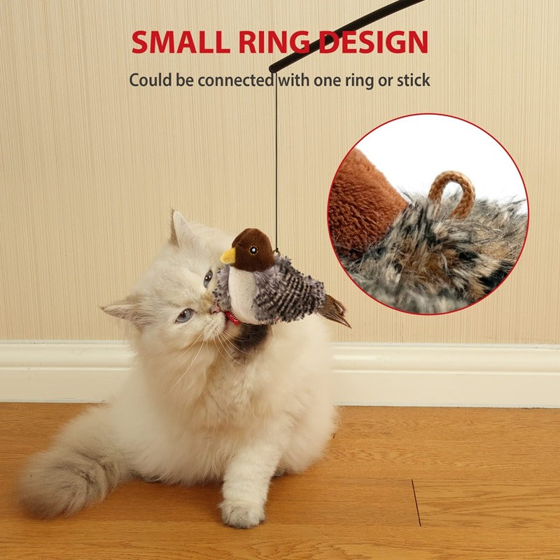 Cat Bird Toy with Feather