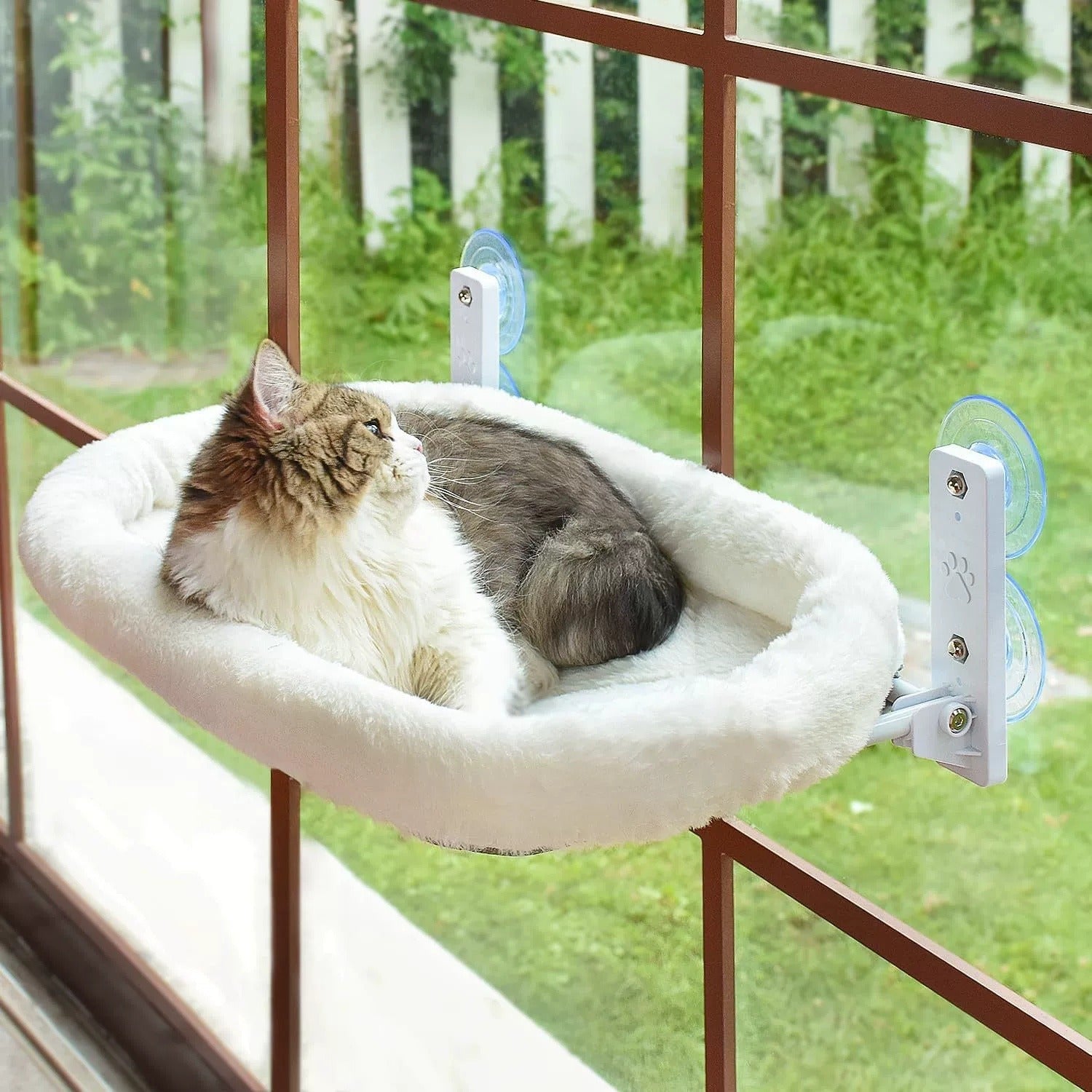 Hanging Cat Nest