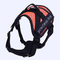 Adjustable Dog Traction Harness for Chest and Back