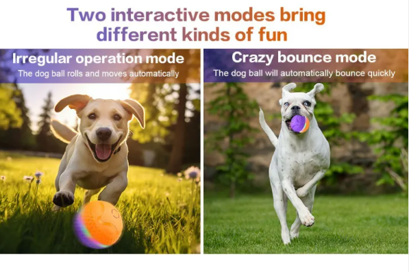 LED Pet Ball