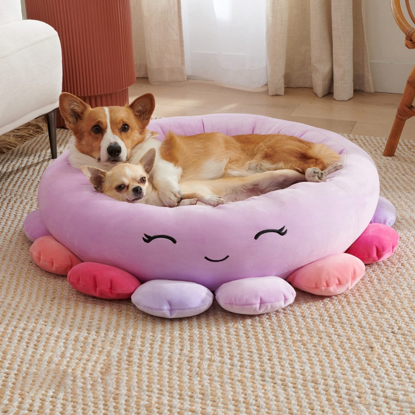 Animals & Fruits Pet Bed