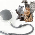 Cat Interactive Rolling Ball Toy