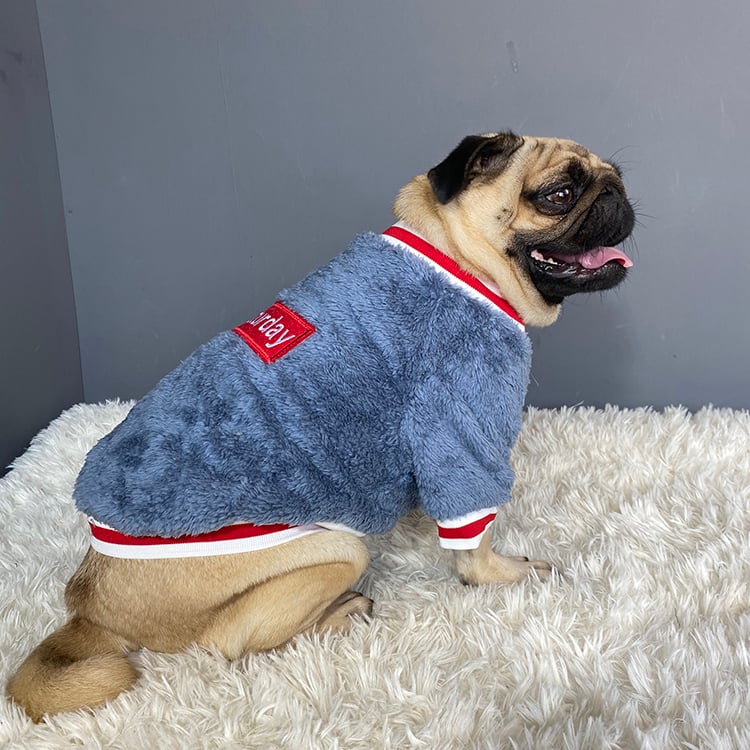 Cozy Pet Sweater for Comfortable Wear