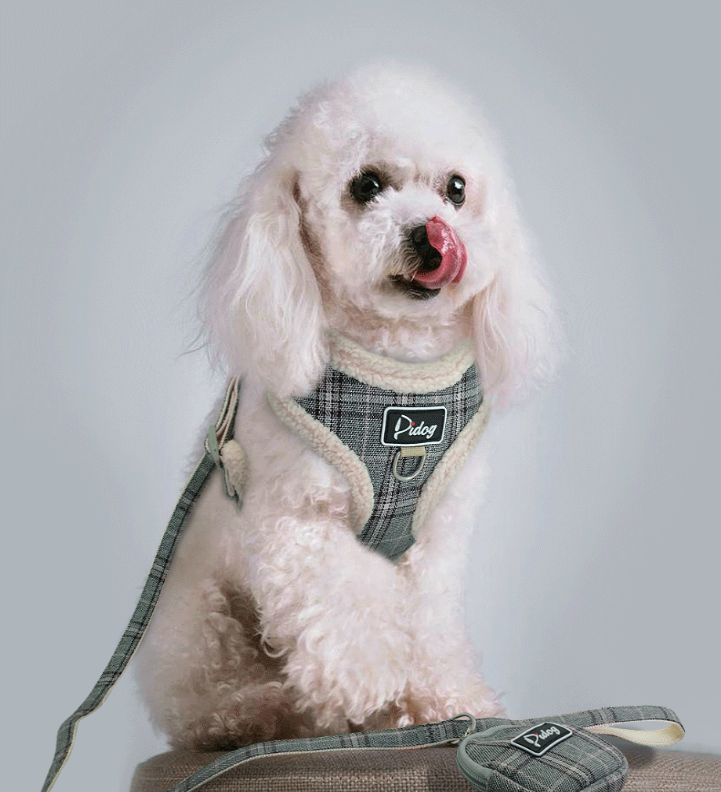 Dog Harness and Leash for Small Dogs and Puppies