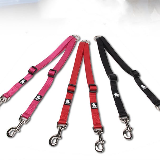 Double Head Dog Leash with Two Traction Ropes