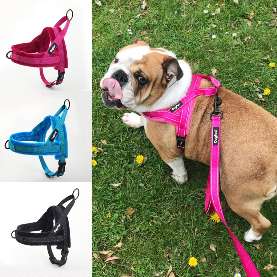 Comfortable Fleece Lined Dog Harness with Leash