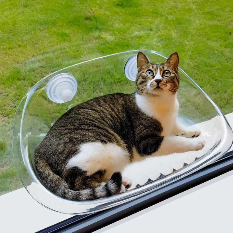 Modern Hanging Cat Bed with Suction Cups (One Piece)