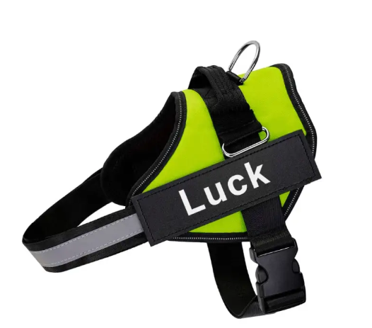 K9 Pet Leash and Harness