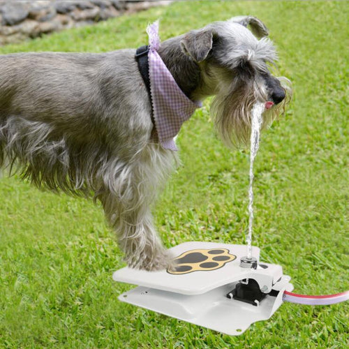 Automatic Outdoor Water Feeder for Dogs and Cats