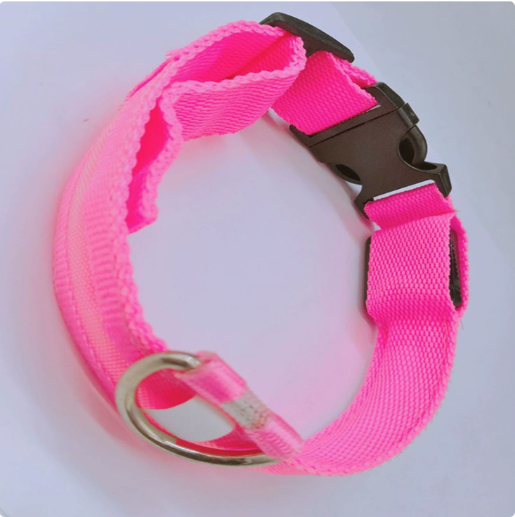 Luminous LED Dog Collar