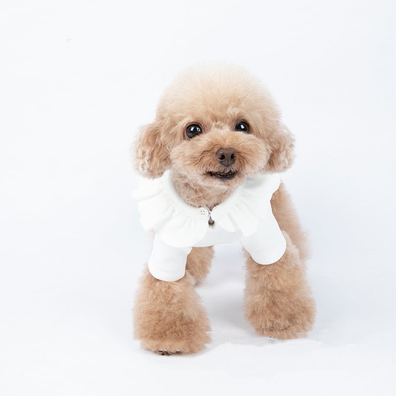 Thickened Long-Sleeved Autumn Winter Pet Clothes