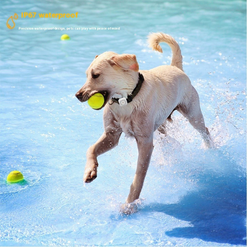 Pet GPS Tracker Collar