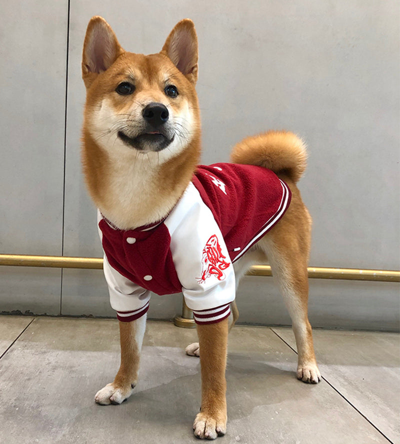 Fashionable Cotton Pet Baseball Outfit for Dogs